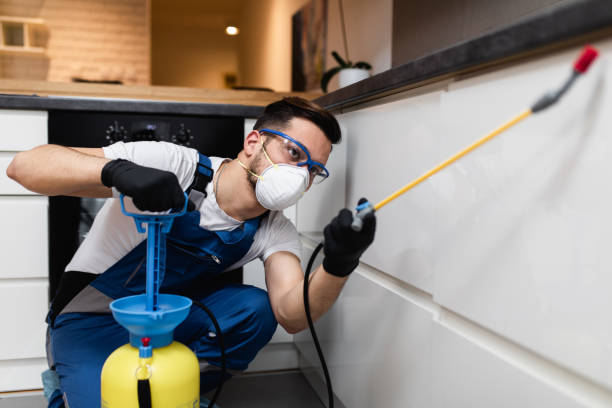 Best Ant Control Services  in Point Mackenzie, AK