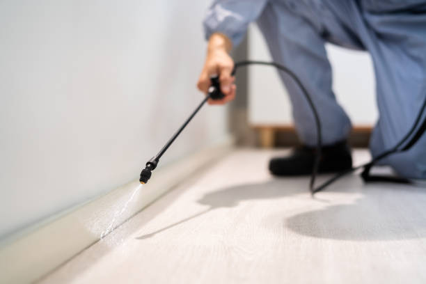 Best Emergency Pest Control  in Point Mackenzie, AK
