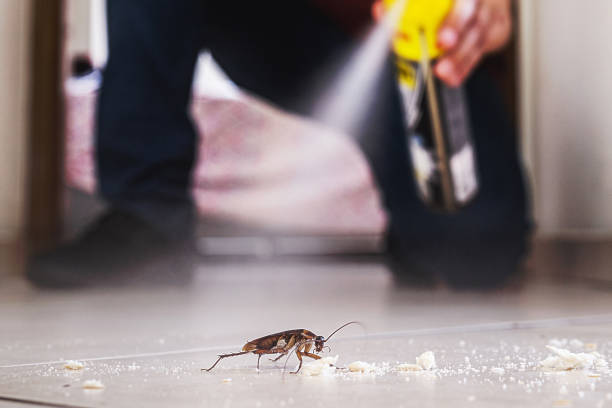 Best Wasp Removal Services  in Point Mackenzie, AK