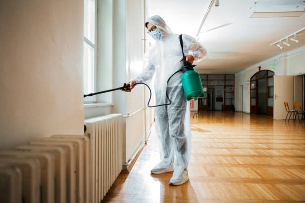 Best Pest Control Near Me  in Point Mackenzie, AK