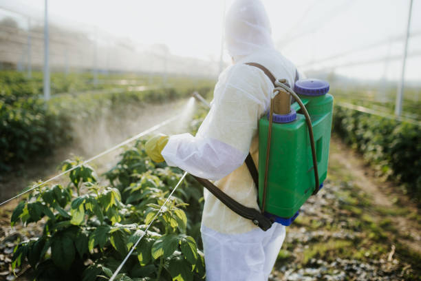 Professional Pest Control in Point Mackenzie, AK